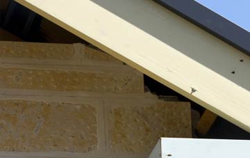 soffit repair Sternfield