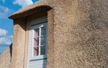 Sternfield thatch roof disadvantages