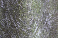 Sternfield fibreglass roof work